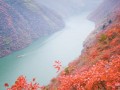【绿色家园】巫山修复生态屏障 璧山打造深绿城市