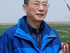 中国科学院地质与地球物理研究所